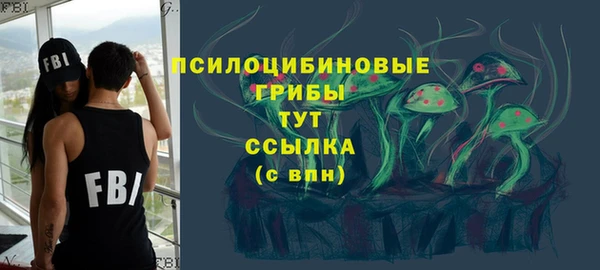 сатива Лабытнанги