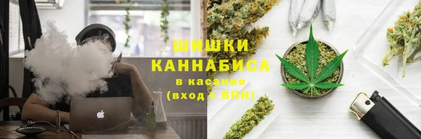 сатива Лабытнанги