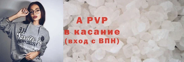 сатива Лабытнанги