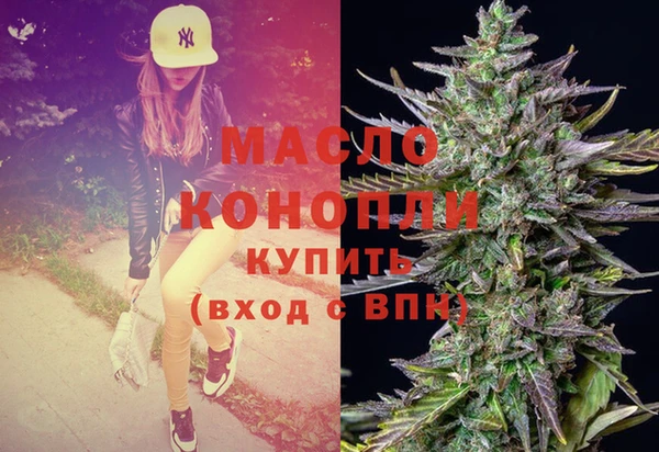 сатива Лабытнанги