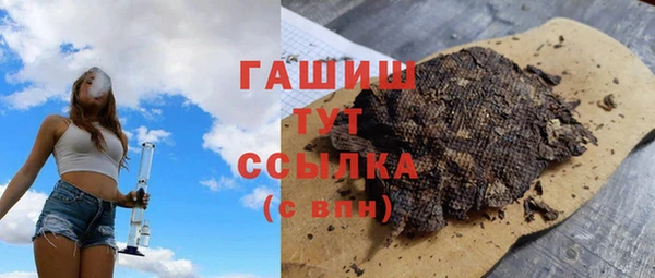 сатива Лабытнанги