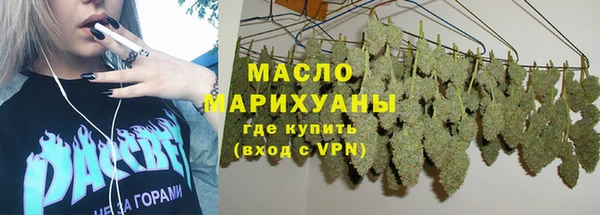 сатива Лабытнанги