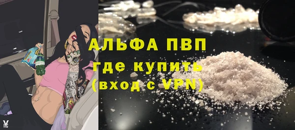 прущие грибы Киров