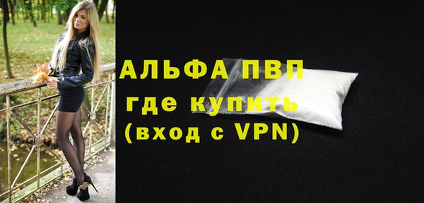 сатива Лабытнанги