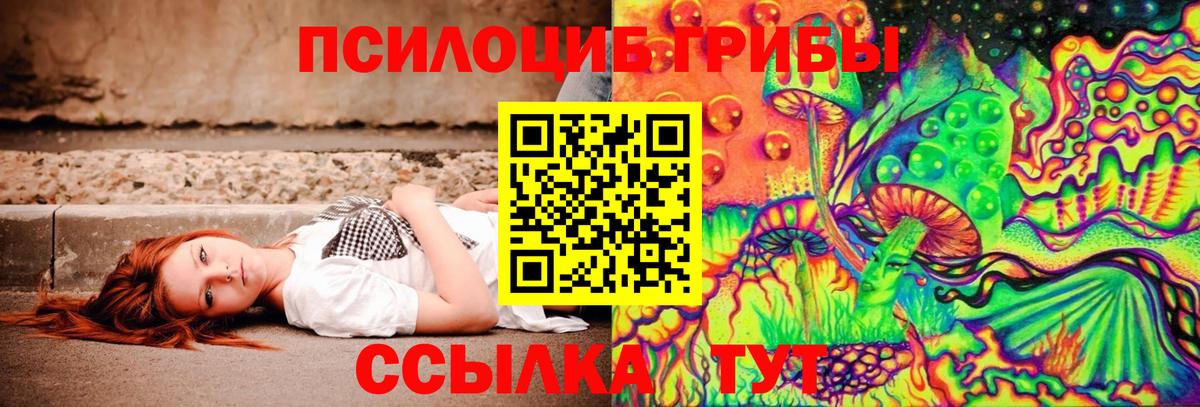 Псилоцибиновые грибы MAGIC MUSHROOMS  Вход с VPN  наркошоп  Фролово 