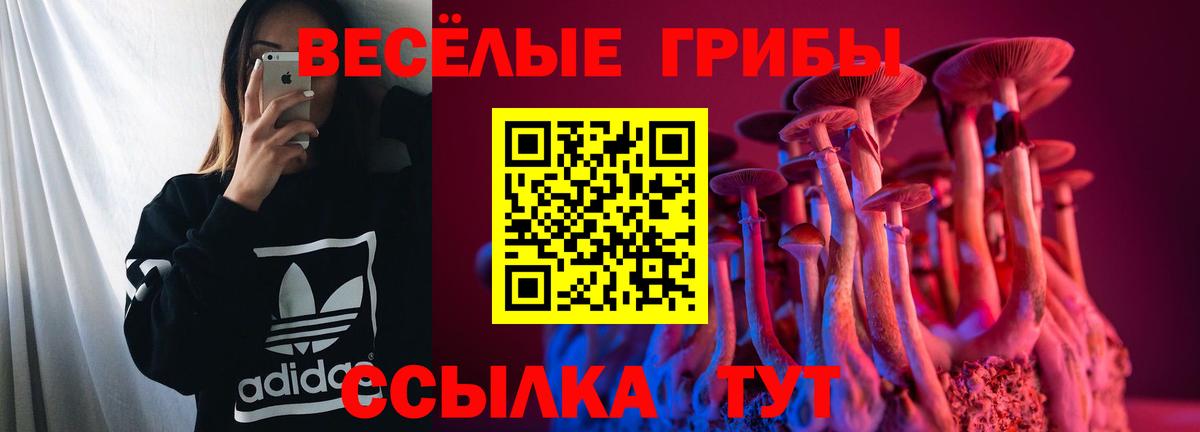 Галлюциногенные грибы прущие грибы Фролово